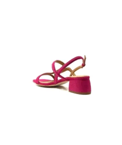 Jhay 9775 Daim Fuchsia
