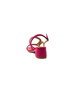Jhay 9775 Daim Fuchsia